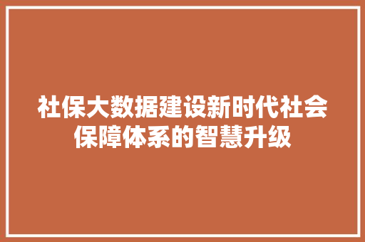 社保大数据建设新时代社会保障体系的智慧升级