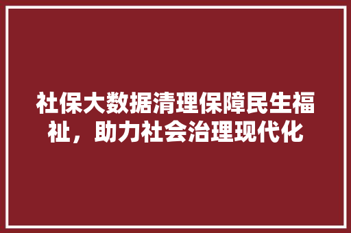 社保大数据清理保障民生福祉，助力社会治理现代化