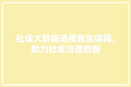 社保大数据透视民生保障，助力社会治理创新