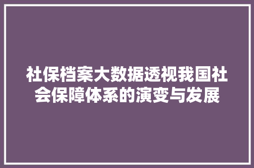 社保档案大数据透视我国社会保障体系的演变与发展