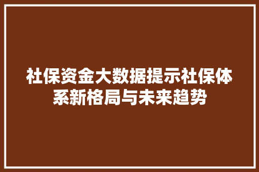 社保资金大数据提示社保体系新格局与未来趋势
