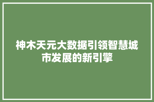 神木天元大数据引领智慧城市发展的新引擎 神木天元大数据引领智慧城市发展的新引擎