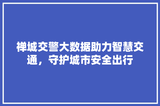 禅城交警大数据助力智慧交通，守护城市安全出行