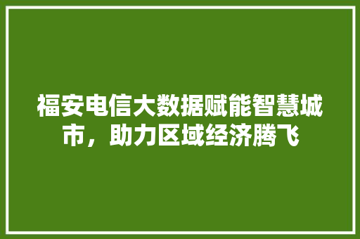 福安电信大数据赋能智慧城市，助力区域经济腾飞