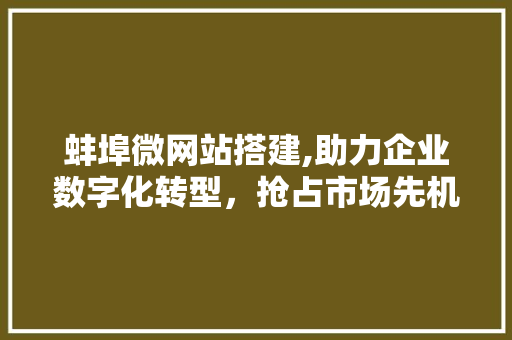 蚌埠微网站搭建,助力企业数字化转型，抢占市场先机 蚌埠微网站搭建,助力企业数字化转型，抢占市场先机 电脑配置