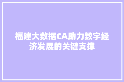 福建大数据CA助力数字经济发展的关键支撑