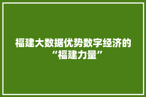 福建大数据优势数字经济的“福建力量”