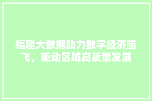 福建大数据助力数字经济腾飞，驱动区域高质量发展