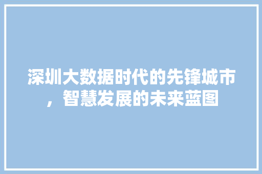 深圳大数据时代的先锋城市,智慧发展的未来蓝图 深圳大数据时代的先锋城市,智慧发展的未来蓝图