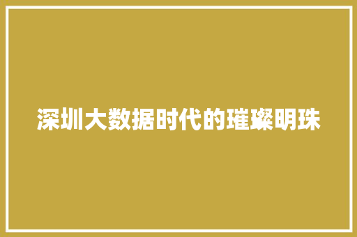 深圳大数据时代的璀璨明珠 深圳大数据时代的璀璨明珠