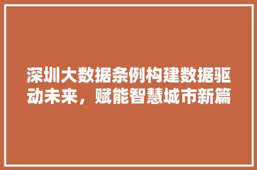 深圳大数据条例构建数据驱动未来,赋能智慧城市新篇章 深圳大数据条例构建数据驱动未来,赋能智慧城市新篇章