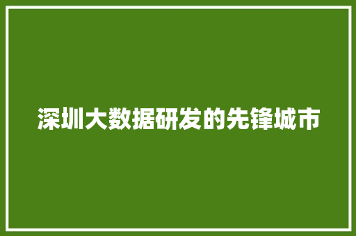 深圳大数据研发的先锋城市 深圳大数据研发的先锋城市