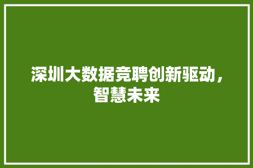 深圳大数据竞聘创新驱动,智慧未来 深圳大数据竞聘创新驱动,智慧未来