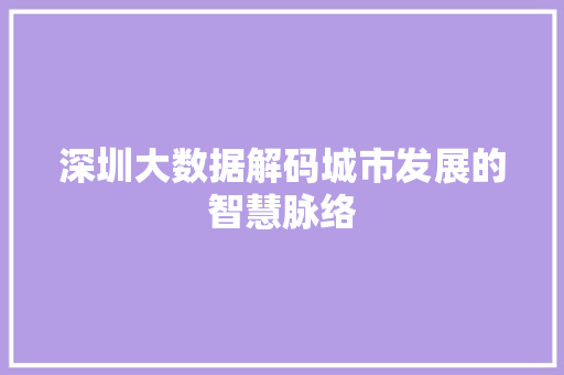 深圳大数据解码城市发展的智慧脉络 深圳大数据解码城市发展的智慧脉络