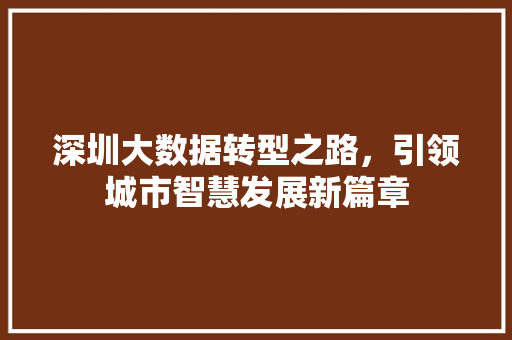 深圳大数据转型之路，引领城市智慧发展新篇章