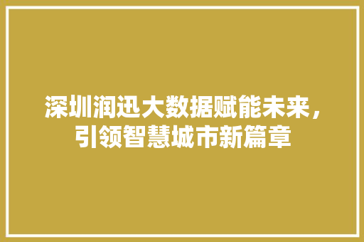 深圳润迅大数据赋能未来，引领智慧城市新篇章