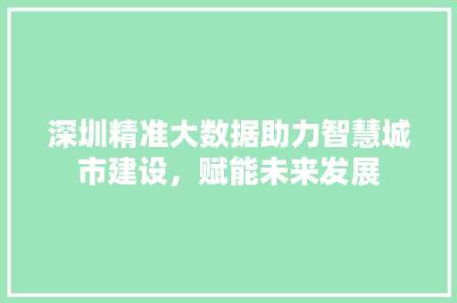 深圳精准大数据助力智慧城市建设，赋能未来发展