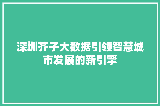深圳芥子大数据引领智慧城市发展的新引擎 深圳芥子大数据引领智慧城市发展的新引擎