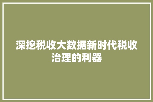 深挖税收大数据新时代税收治理的利器