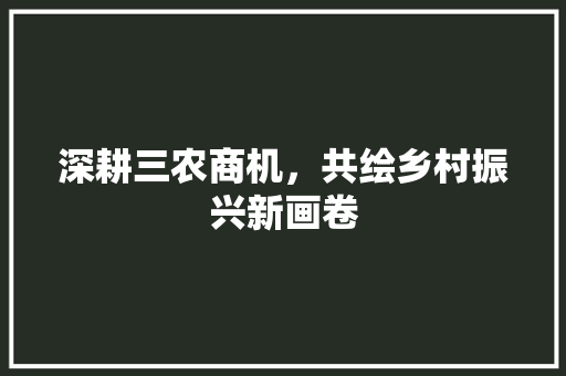 深耕三农商机，共绘乡村振兴新画卷