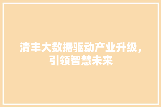 清丰大数据驱动产业升级，引领智慧未来