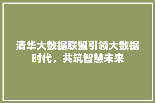 清华大数据联盟引领大数据时代，共筑智慧未来