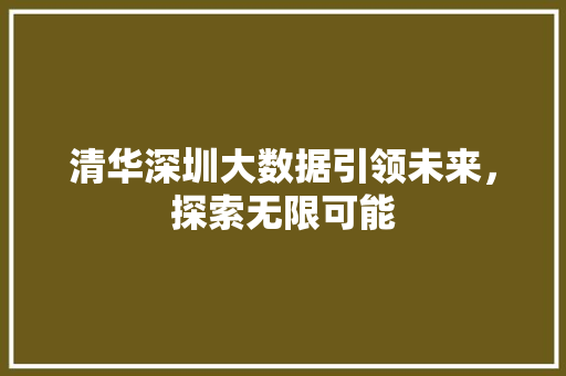 清华深圳大数据引领未来，探索无限可能