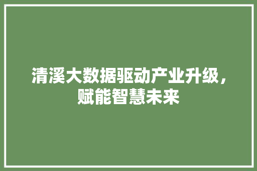 清溪大数据驱动产业升级，赋能智慧未来