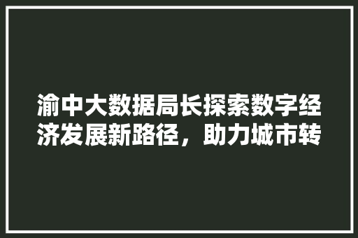 渝中大数据局长探索数字经济发展新路径，助力城市转型升级