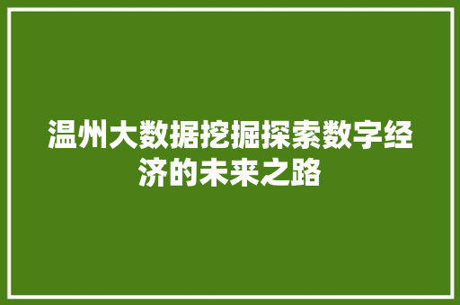 温州大数据挖掘探索数字经济的未来之路 温州大数据挖掘探索数字经济的未来之路