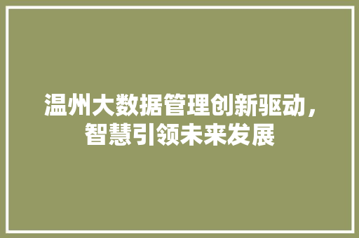 温州大数据管理创新驱动,智慧引领未来发展 温州大数据管理创新驱动,智慧引领未来发展