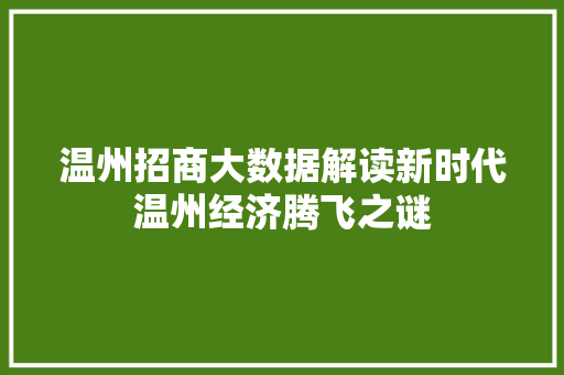 温州招商大数据解读新时代温州经济腾飞之谜