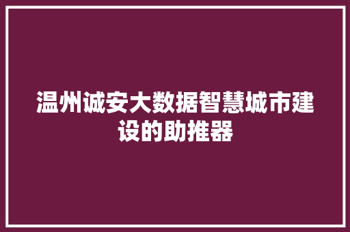 温州诚安大数据智慧城市建设的助推器