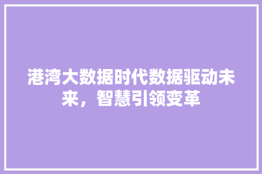 港湾大数据时代数据驱动未来，智慧引领变革