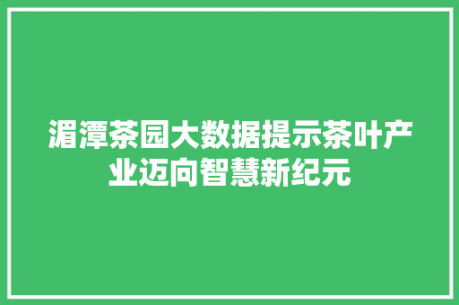 湄潭茶园大数据提示茶叶产业迈向智慧新纪元