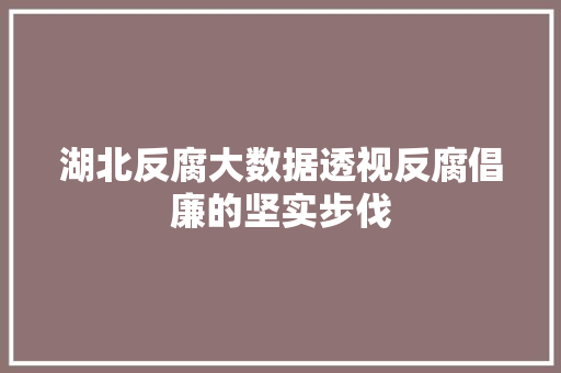湖北反腐大数据透视反腐倡廉的坚实步伐