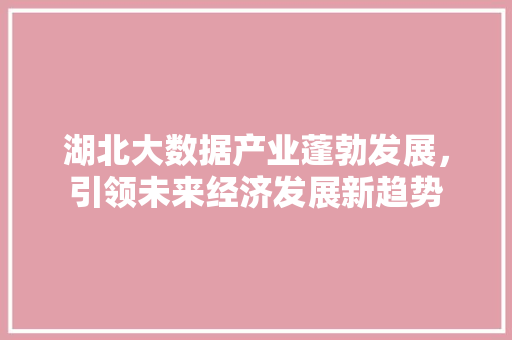 湖北大数据产业蓬勃发展,引领未来经济发展新趋势 湖北大数据产业蓬勃发展,引领未来经济发展新趋势
