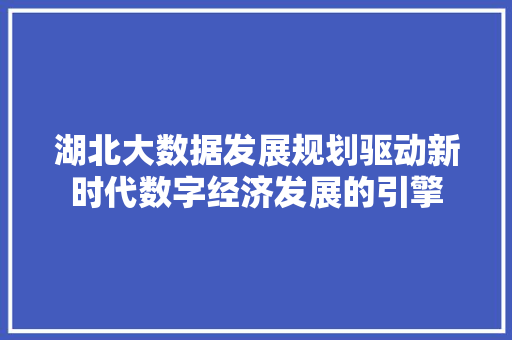 湖北大数据发展规划驱动新时代数字经济发展的引擎