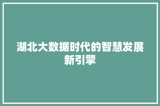 湖北大数据时代的智慧发展新引擎 湖北大数据时代的智慧发展新引擎