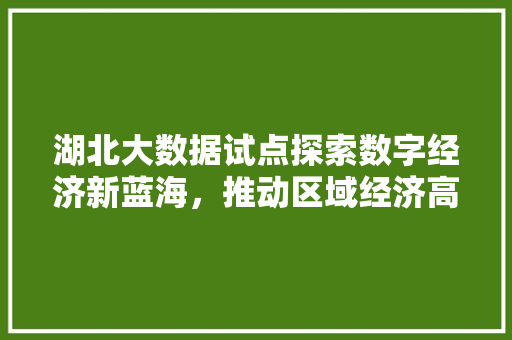 湖北大数据试点探索数字经济新蓝海,推动区域经济高质量发展 湖北大数据试点探索数字经济新蓝海,推动区域经济高质量发展