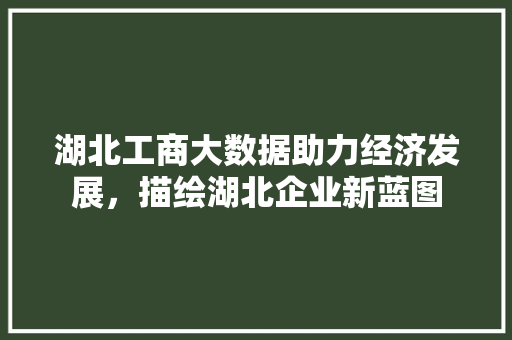 湖北工商大数据助力经济发展,描绘湖北企业新蓝图 湖北工商大数据助力经济发展,描绘湖北企业新蓝图
