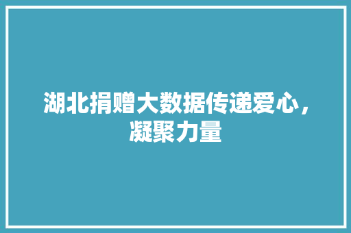 湖北捐赠大数据传递爱心,凝聚力量 湖北捐赠大数据传递爱心,凝聚力量