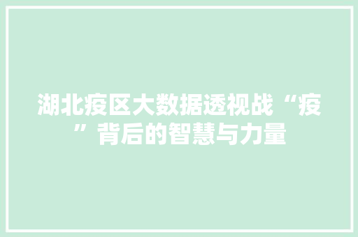 湖北疫区大数据透视战“疫”背后的智慧与力量