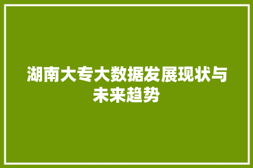 湖南大专大数据发展现状与未来趋势