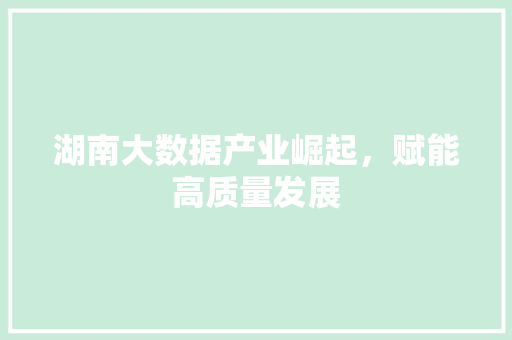 湖南大数据产业崛起，赋能高质量发展