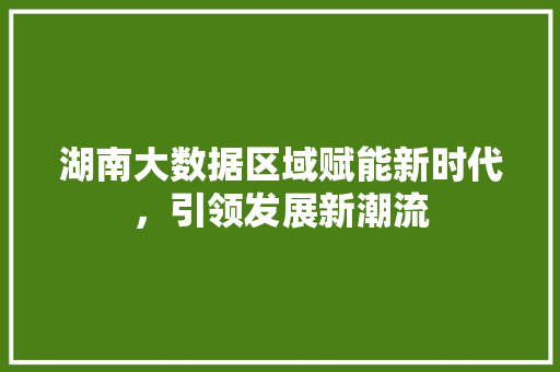 湖南大数据区域赋能新时代，引领发展新潮流