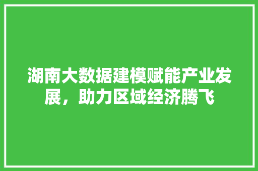湖南大数据建模赋能产业发展，助力区域经济腾飞