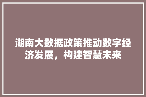 湖南大数据政策推动数字经济发展，构建智慧未来