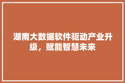 湖南大数据软件驱动产业升级，赋能智慧未来
