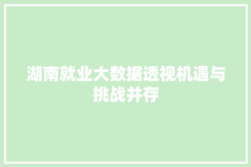 湖南就业大数据透视机遇与挑战并存